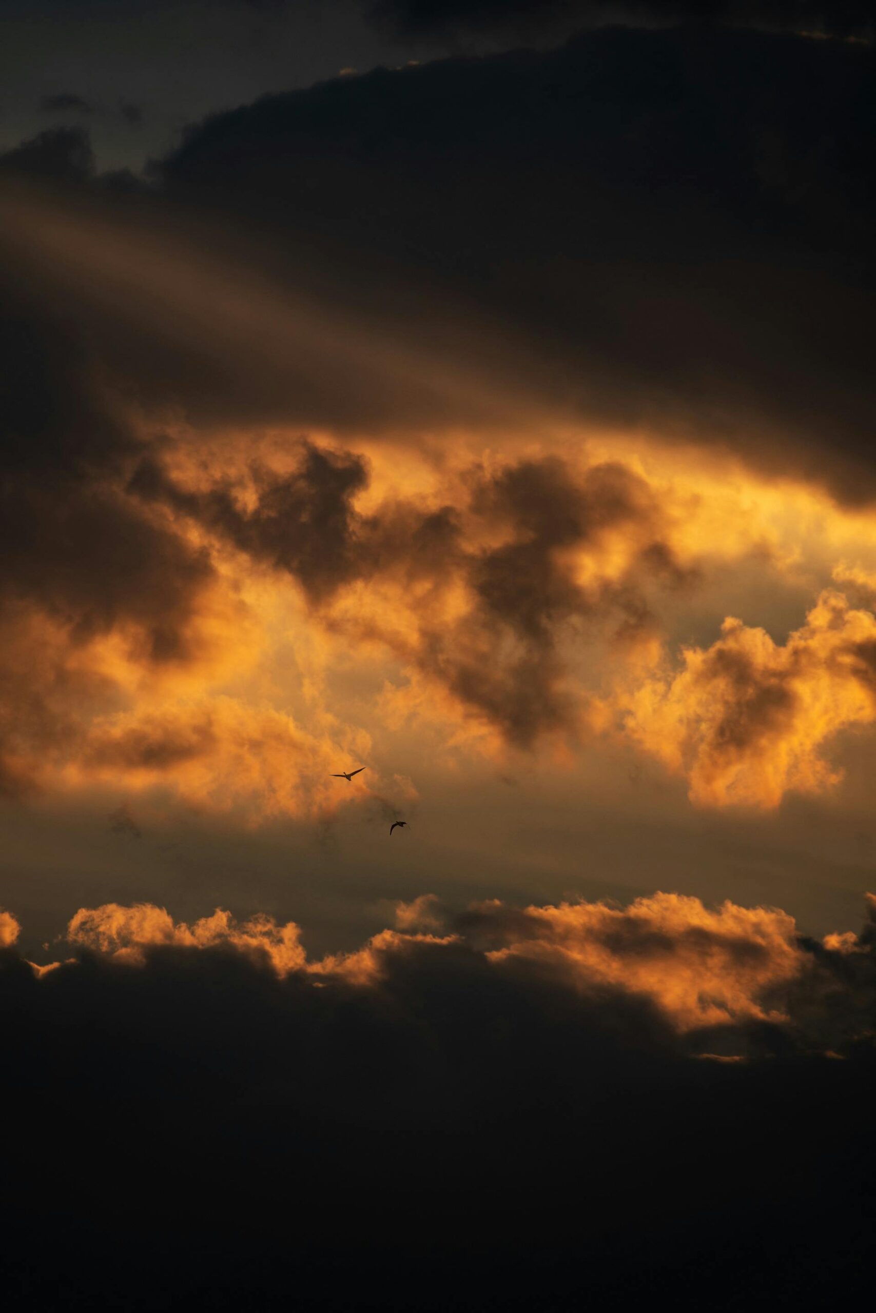 Golden sunrays pierce through dark clouds over Mashhad, creating a breathtaking sunset view.